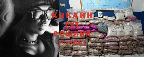 тгк Абаза