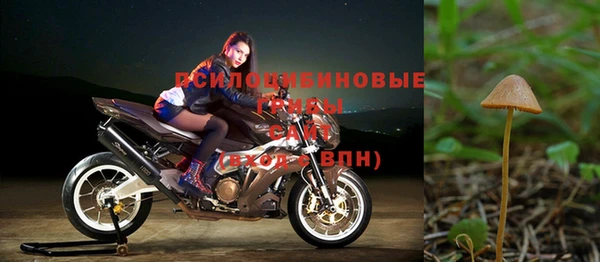 винт Абдулино