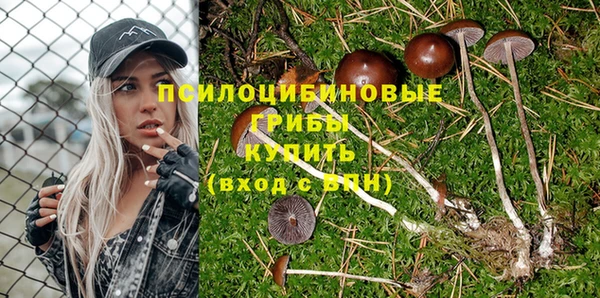тгк Абаза