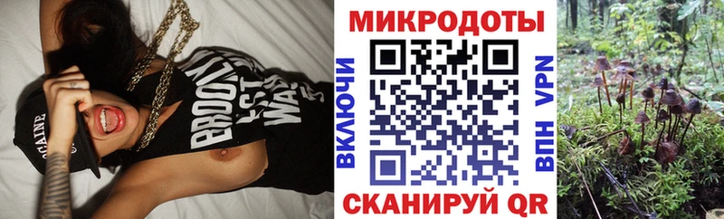 Галлюциногенные грибы Magic Shrooms Спас-Клепики
