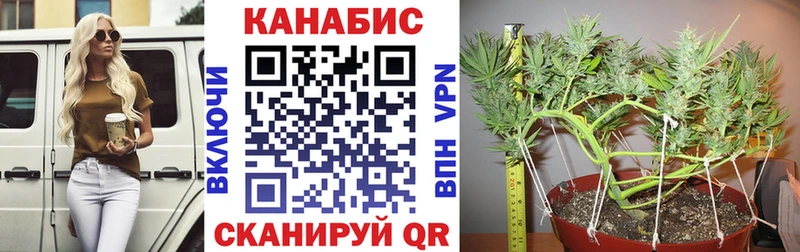 Бошки марихуана тримм Спас-Клепики